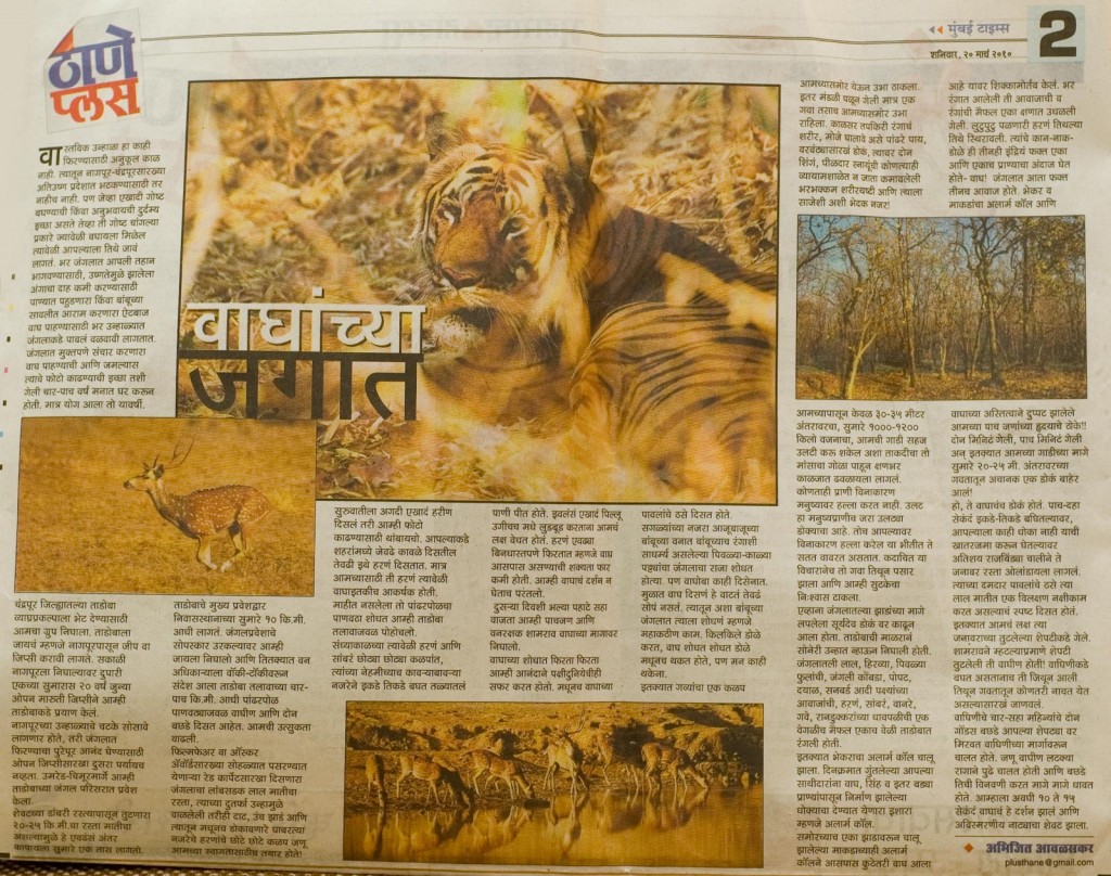 Tadoba-article